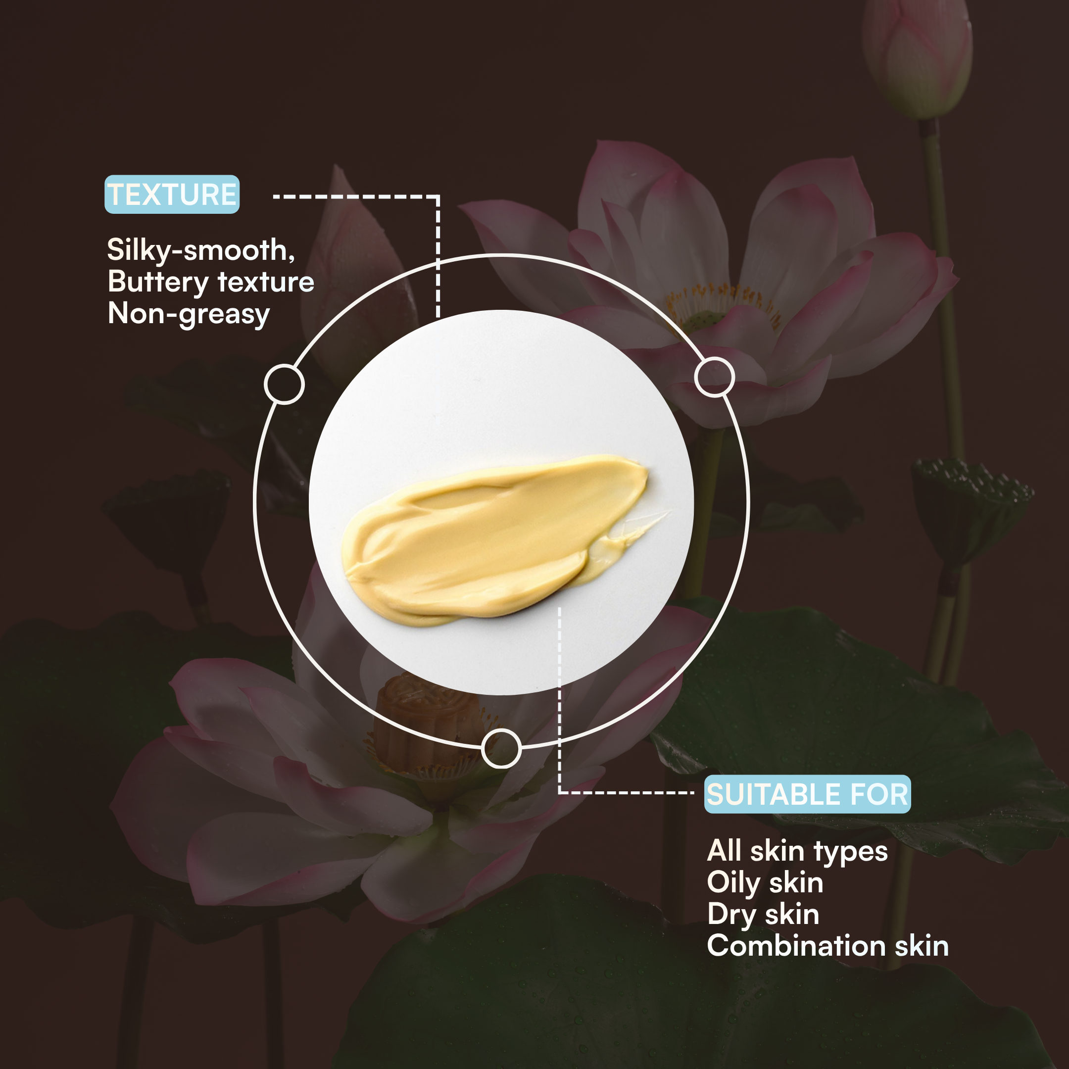 Korean Collagen Renewal Night Cream